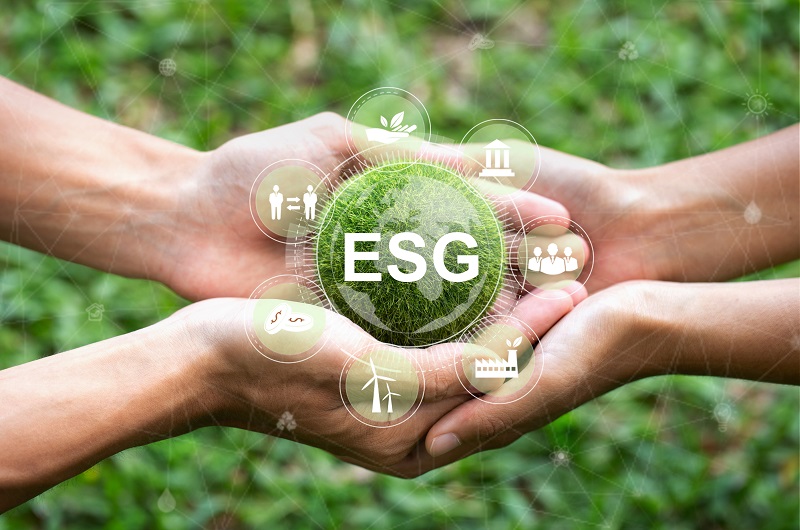 Companies investing into ESG